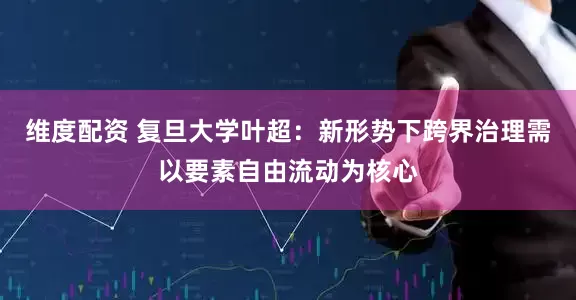 维度配资 复旦大学叶超：新形势下跨界治理需以要素自由流动为核心
