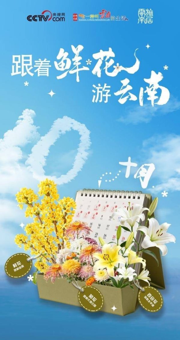 园十州 跟着鲜花游云南|10月 在花香与景致中感受云南秋日魅力
